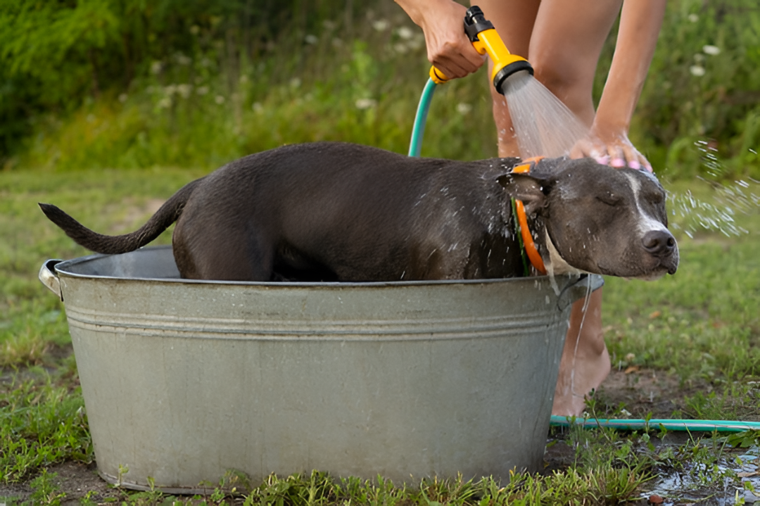 Bathing Essentials for Stress-Free Care